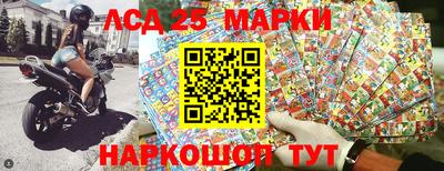 индика Обь