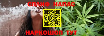 индика Обь