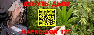 индика Обь