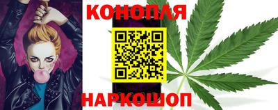 индика Обь