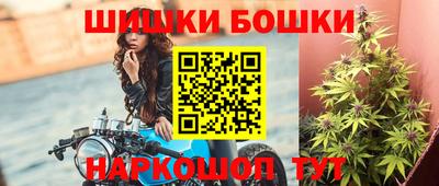 индика Обь