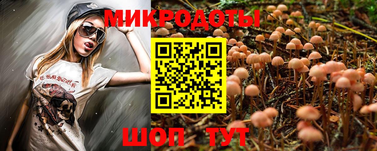 Галлюциногенные грибы Psilocybe Серов